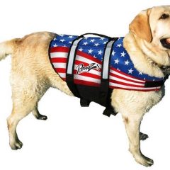 life-jacket-for-dogs